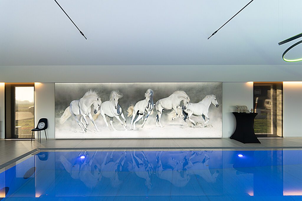 Paarden lichtwand zwembad